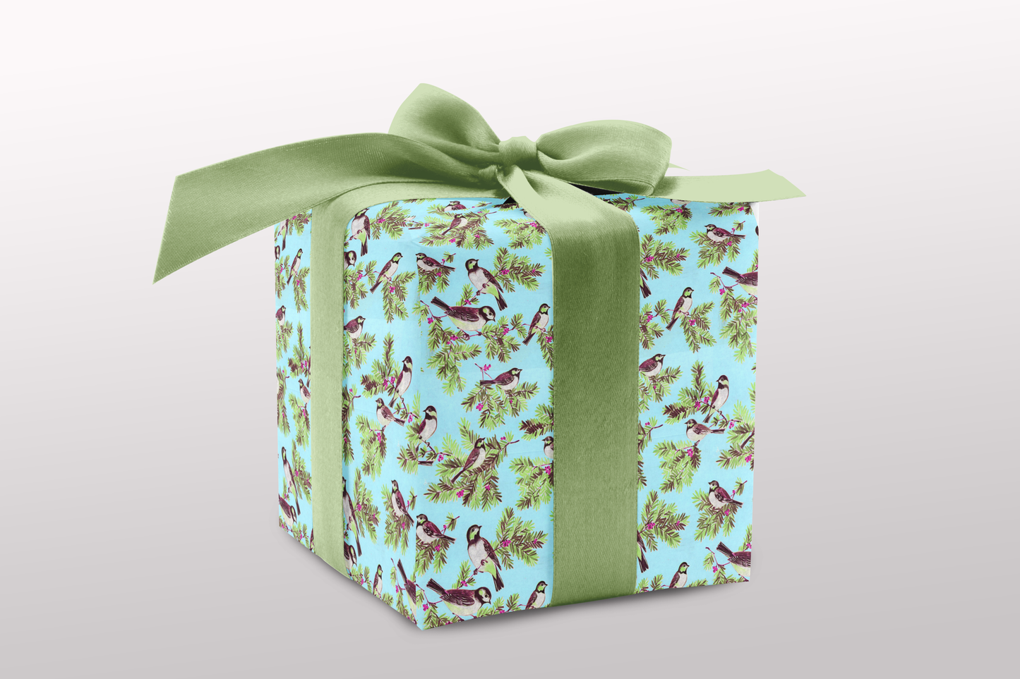 Sweet birds on boughs