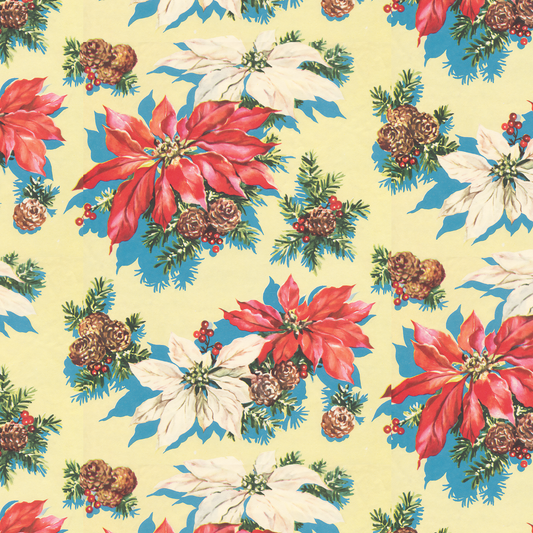 Buttery Poinsettia