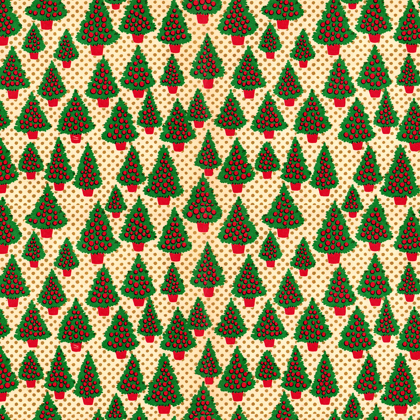 Small Trees