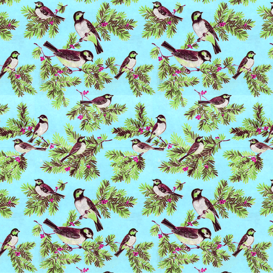 Sweet birds on boughs