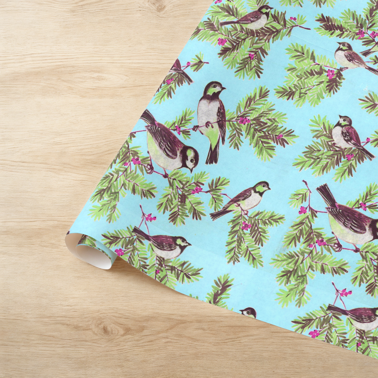 Sweet birds on boughs