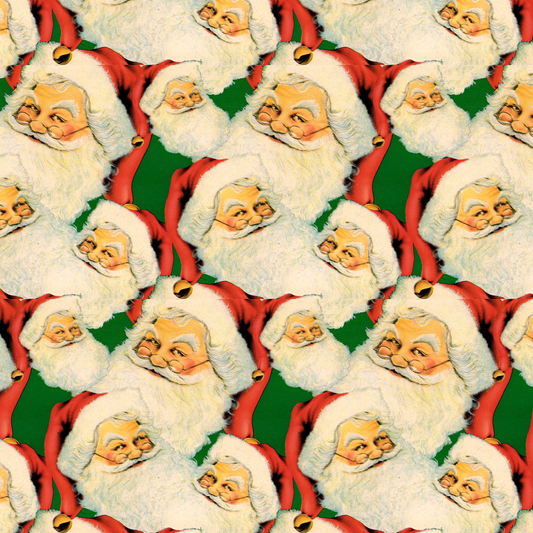Coy Santa
